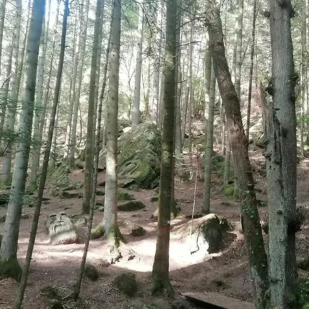 Maison Charmante Avec Sauna A Les Forges Les Forges (Vosges)