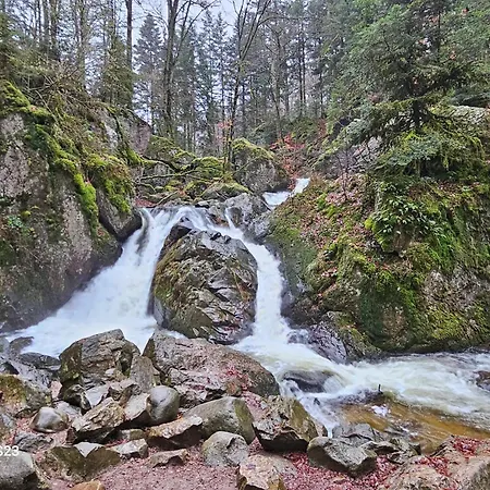 Maison Charmante Avec Sauna A Les Forges Prázdninový dům *